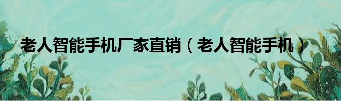 老人智能手机厂家直销（老人智能手机）