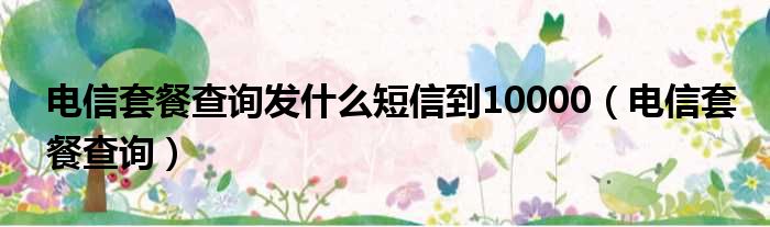 电信套餐查询发什么短信到10000（电信套餐查询）