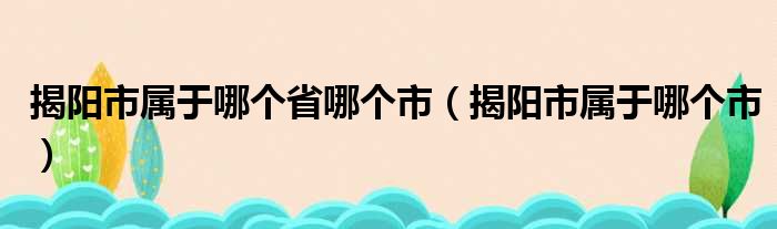 揭阳市属于哪个省哪个市（揭阳市属于哪个市）