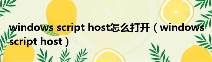 windows script host怎么打开（windows script host）