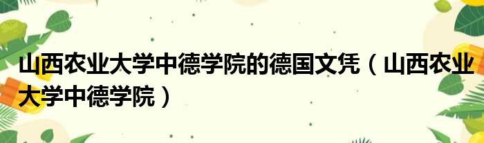 山西农业大学中德学院的德国文凭（山西农业大学中德学院）