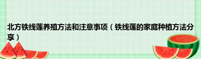 北方铁线莲养殖方法和注意事项（铁线莲的家庭种植方法分享）