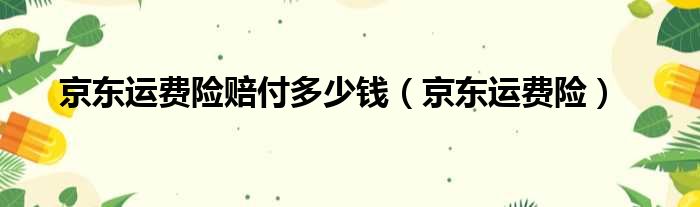 京东运费险赔付多少钱（京东运费险）