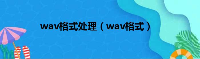 wav格式处理（wav格式）