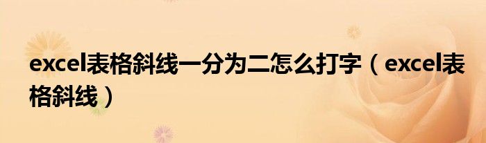 excel表格斜线一分为二怎么打字（excel表格斜线）