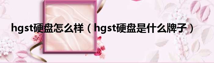 hgst硬盘怎么样（hgst硬盘是什么牌子）