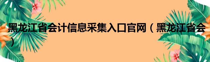 黑龙江省会计信息采集入口官网（黑龙江省会）