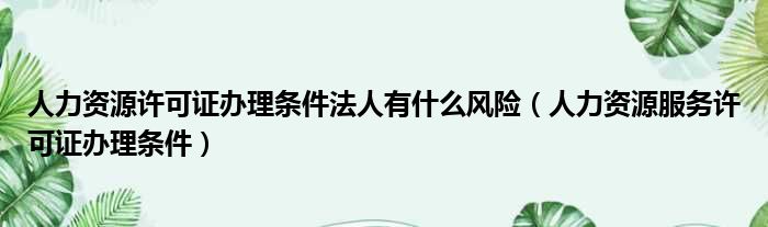 人力资源许可证办理条件法人有什么风险（人力资源服务许可证办理条件）