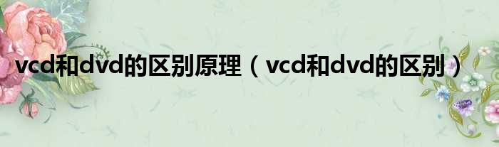 vcd和dvd的区别原理（vcd和dvd的区别）