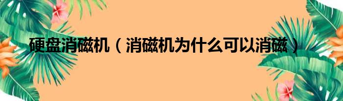 硬盘消磁机（消磁机为什么可以消磁）