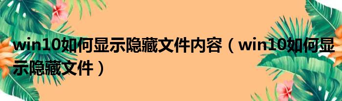 win10如何显示隐藏文件内容（win10如何显示隐藏文件）