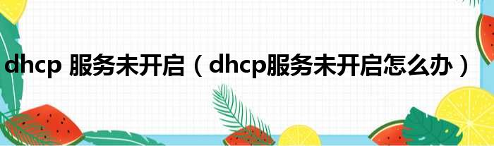 dhcp 服务未开启（dhcp服务未开启怎么办）