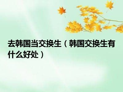 去韩国当交换生（韩国交换生有什么好处）