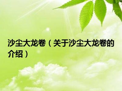 沙尘大龙卷（关于沙尘大龙卷的介绍）