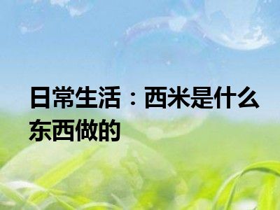 日常生活：西米是什么东西做的