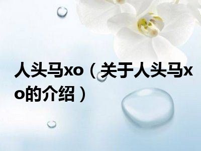 人头马xo（关于人头马xo的介绍）