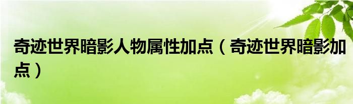  奇迹世界暗影人物属性加点（奇迹世界暗影加点）