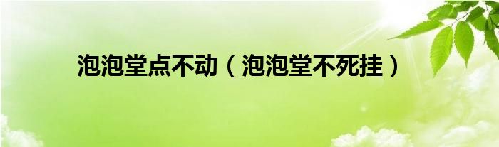  泡泡堂点不动（泡泡堂不死挂）