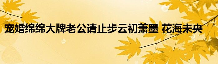  宠婚绵绵大牌老公请止步云初萧墨 花海未央