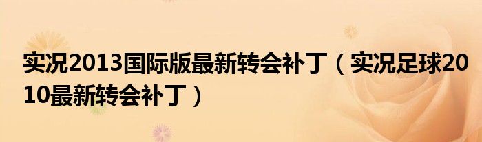  实况2013国际版最新转会补丁（实况足球2010最新转会补丁）