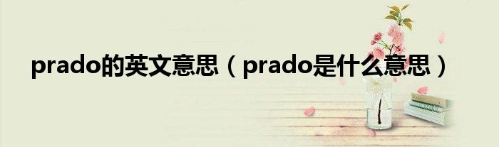  prado的英文意思（prado是什么意思）