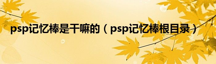  psp记忆棒是干嘛的（psp记忆棒根目录）