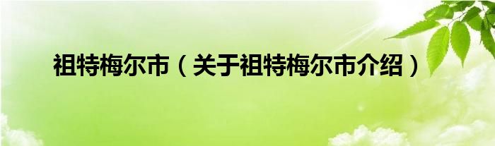  祖特梅尔市（关于祖特梅尔市介绍）