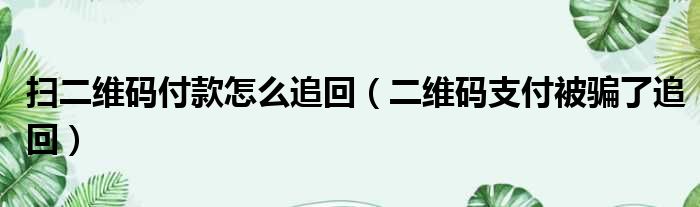 扫二维码付款怎么追回（二维码支付被骗了追回）