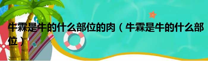 牛霖是牛的什么部位的肉（牛霖是牛的什么部位）