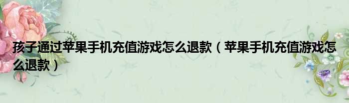 孩子通过苹果手机充值游戏怎么退款（苹果手机充值游戏怎么退款）