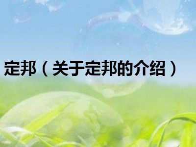 定邦（关于定邦的介绍）