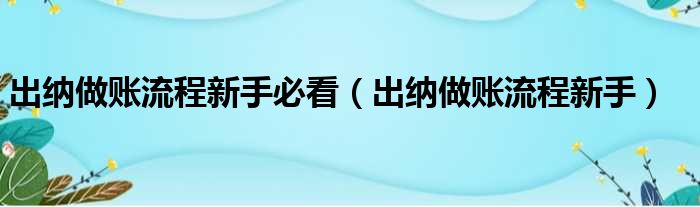 出纳做账流程新手必看（出纳做账流程新手）