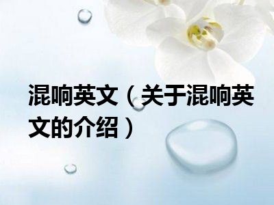 混响英文（关于混响英文的介绍）