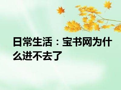 日常生活：宝书网为什么进不去了