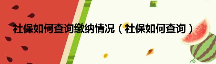 社保如何查询缴纳情况（社保如何查询）