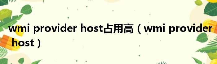 wmi provider host占用高（wmi provider host）