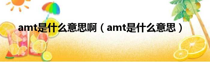 amt是什么意思啊（amt是什么意思）