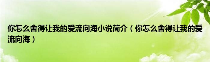  你怎么舍得让我的爱流向海小说简介（你怎么舍得让我的爱流向海）