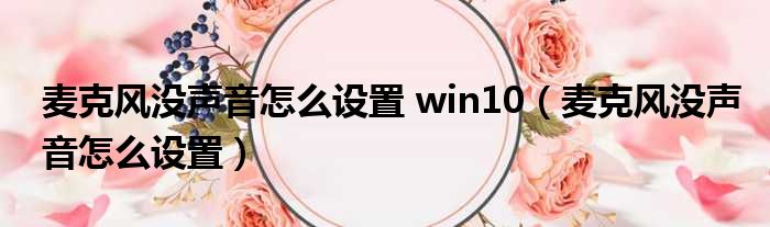 麦克风没声音怎么设置 win10（麦克风没声音怎么设置）