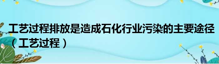 工艺过程排放是造成石化行业污染的主要途径（工艺过程）