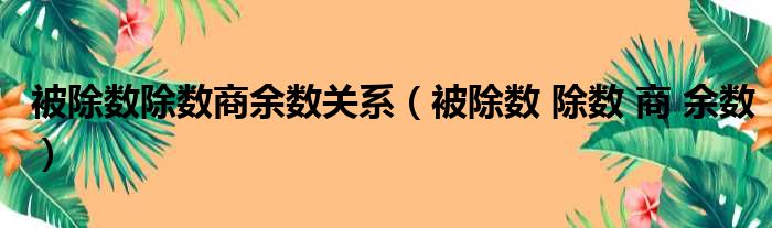 被除数除数商余数关系（被除数 除数 商 余数）