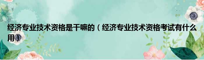 经济专业技术资格是干嘛的（经济专业技术资格考试有什么用）