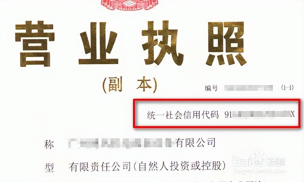 查询企业统一社会信用代码（一个公司社会代码是什么东西）(图1)