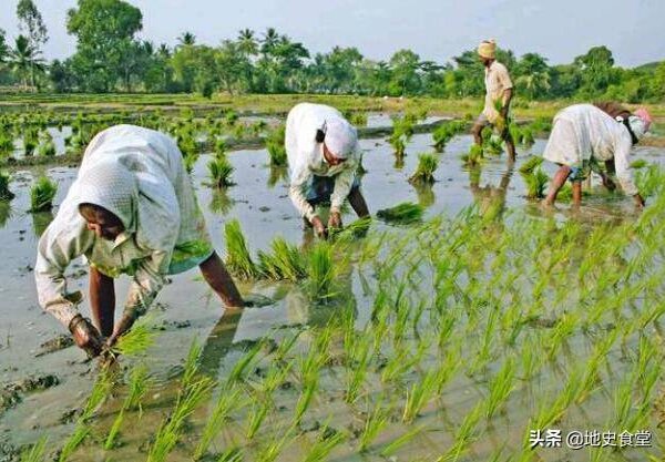 印度国土面积小为什么人口多（印度的国土面积是多少万平方公里）(图5)