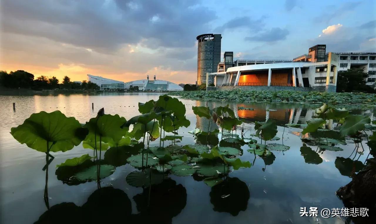 浙江大学前五名（浙江大学全国第几名）(图5)