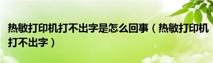 热敏打印机打不出字是怎么回事（热敏打印机打不出字）