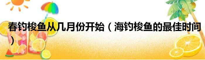 春钓梭鱼从几月份开始（海钓梭鱼的最佳时间）