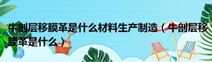 牛剖层移膜革是什么材料生产制造（牛剖层移膜革是什么）