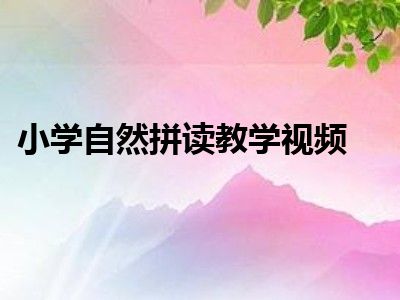 小学自然拼读教学视频