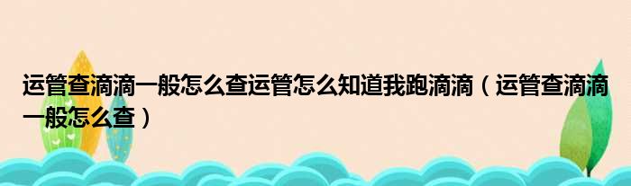 运管查滴滴一般怎么查运管怎么知道我跑滴滴（运管查滴滴一般怎么查）